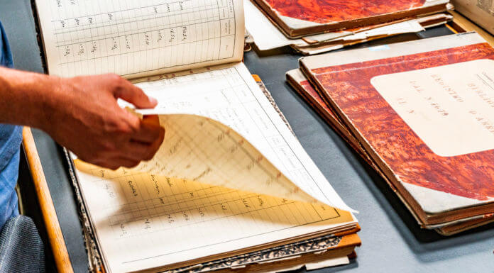 Registro imprese, albi, ruoli