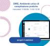 Webinar per le imprese su DIRE