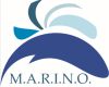 PROGETTO M.A.R.I.N.O.  percorso per la creazione d’impresa a riservato a disoccupati